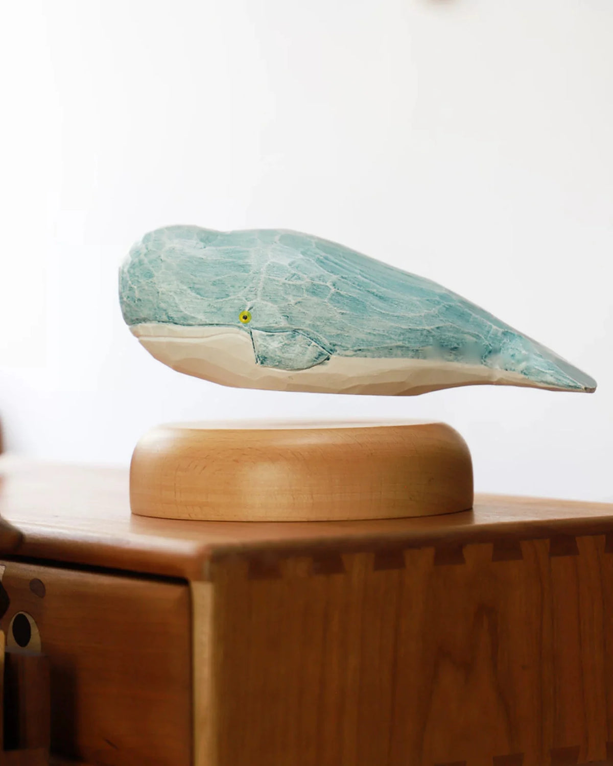The sea-blue whale seen from the side, hanging in the air over its pale wood base, a white wall behind.