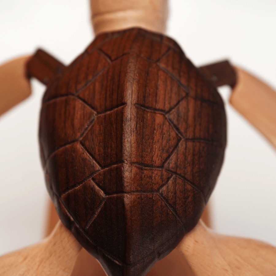 Close up of the dark segmented shell against the pale flippers and head.