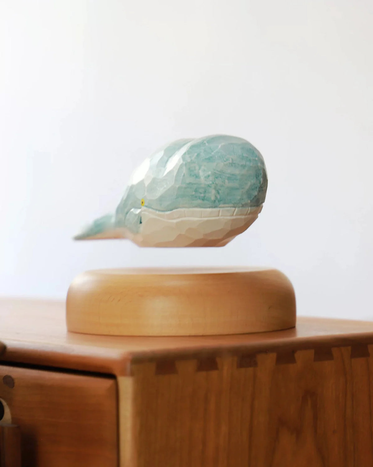 The whale turned toward the camera, its rounded head and yellow eye above the pale wood base.