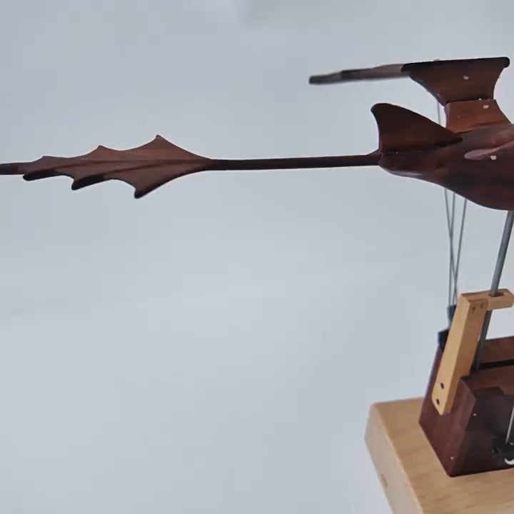 Close view of the walnut dragon's head and wing as it moves.