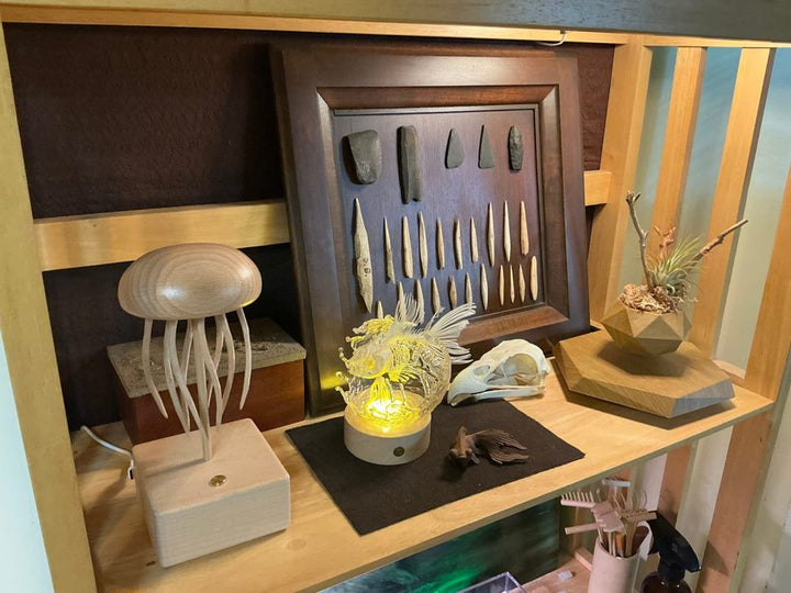 Ci S.: Jellyfish automaton on a shelf of curiosities beside a framed collection and a glowing ornament, from an owner photo.